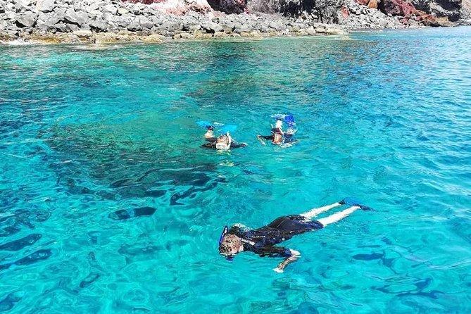 Snorkelling Trip at Ponta De São Lourenço Protected Area - Marine Life Encountered