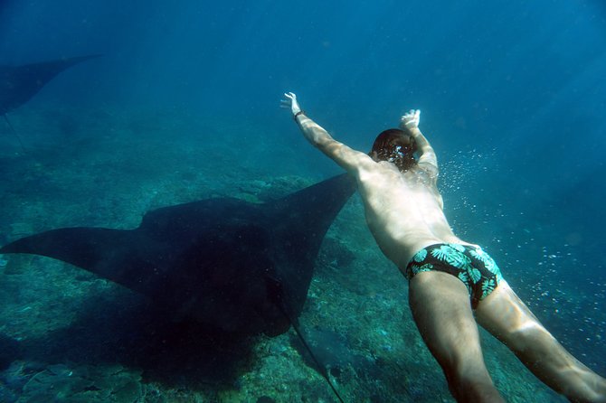 Snorkelling With Manta Rays - Booking and Pickup Process
