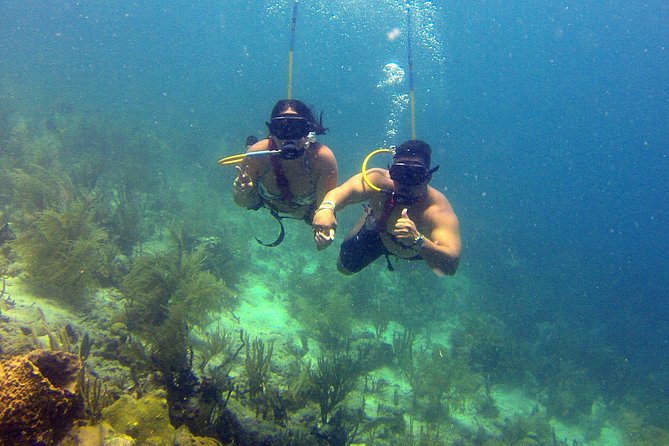 Snuba Adventure at Coral World Ocean Park - Location and Directions