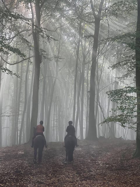 Söderåsen National Park: 1.5-Hour Horseback Ride - Cancellation Policy