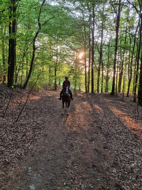 Söderåsen National Park: Horseback Riding Vacation 2 Nights - Daily Itinerary Breakdown