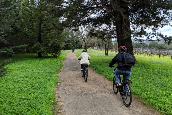 Sonoma Valley Pedal Assist Bike Tour With Lunch - Traveler Experiences