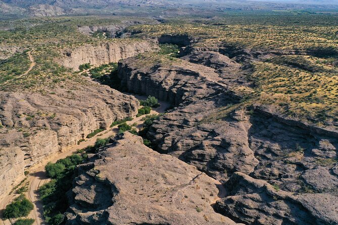 Sonoran Desert Jeep Tour - Pricing and Reservations