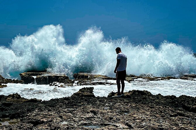 South Bonaire Private Island Tour - Wildlife Sightings