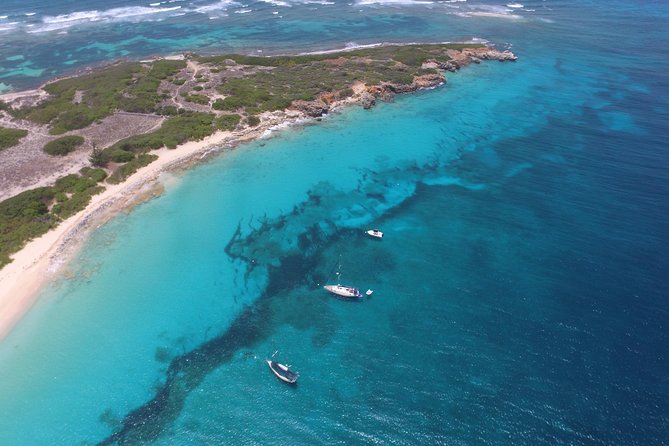 Speed Boat & Snorkeling Tour Pinel & Tintamarre Islands for CRUISE SHIP GUESTS - Snorkeling Experience
