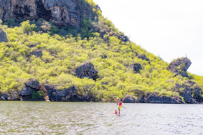 Splashy Iguana Tour in Curacao - Tour Highlights and Activities