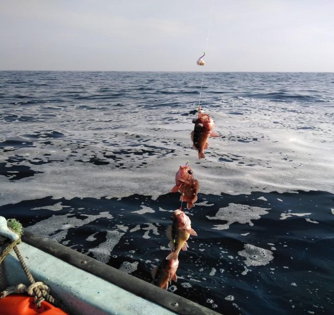 Sport Fishing by Boat & Chilean Empanadas From Valpara - Booking Process