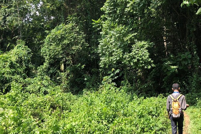 Srimangal Nature Tour in Forest and Tea Garden - Customer Experiences