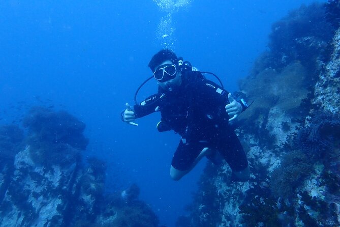 SSI Open Water Diver - Pricing Details