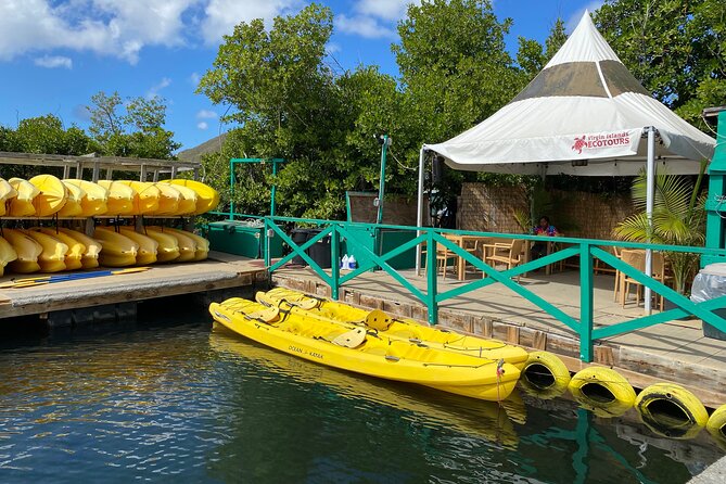 St Thomas Shore Excursion: Mangrove Lagoon Kayak and Snorkel Tour - Meeting and Pickup
