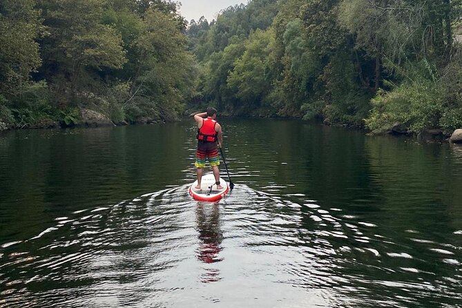 Stand-Up-Paddle Tour in Paiva River - Wildlife Observation