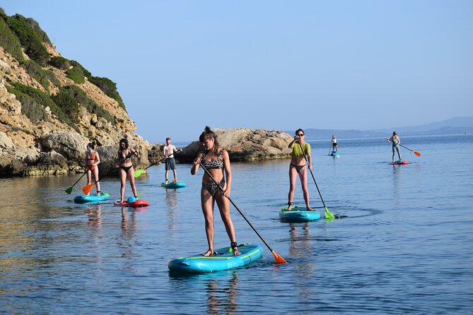 Stand Up Paddle With Dolphins - Spotting Bottlenose Dolphins