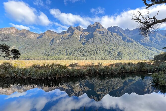 [Stevong Travel] Beautiful South Island Highlight Tour 4D3N - Health and Accessibility Details