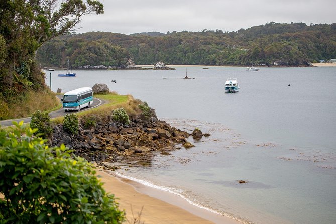 Stewart Island: Village and Bays Tour - Customer Reviews