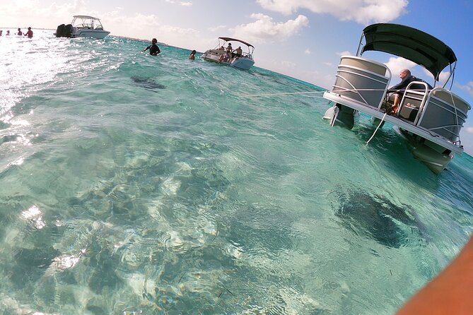 Stingray City, Star Fish Point and Snorkeling Private Boat Tour - Marine Life Encounters