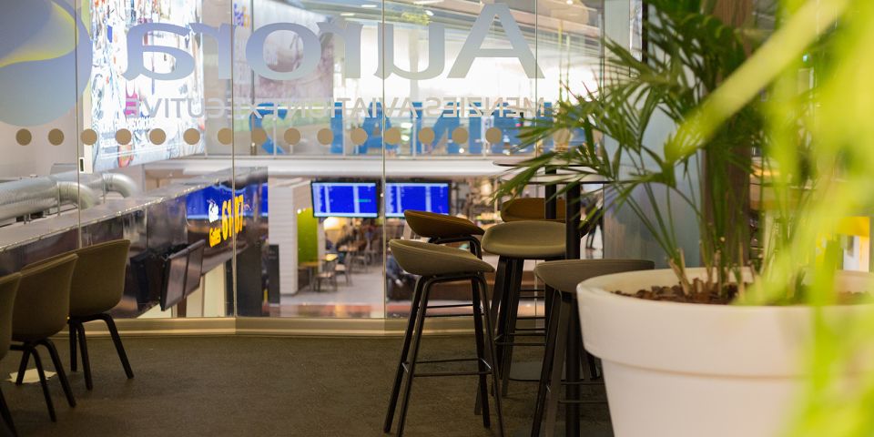 Stockholm Arlanda Airport (ARN): Premium Lounge Entry - Accessibility Features