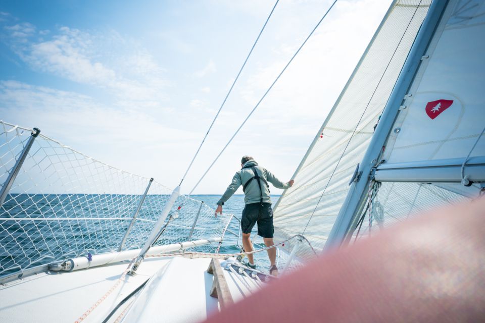 Stockholm: Full Day Archipelago Sailing Tour With Lunch - Wildlife Encounters