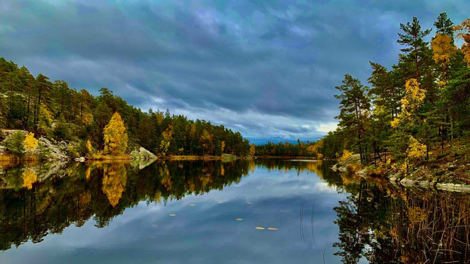 Stockholm: Nature Reserve Hiking Tour With Campfire Lunch - Whats Included