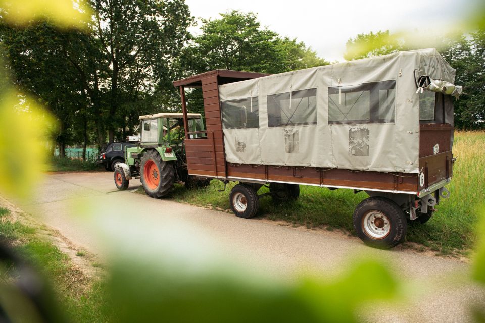 Stuttgart: Vineyard Tour by Covered Wagon - Customer Feedback