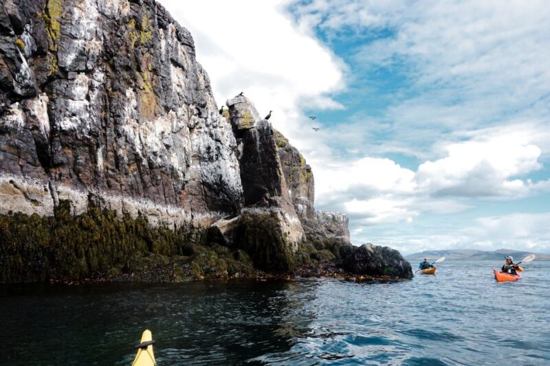 Stykkishólmur: 2-Hour Sea Kayak Tour - Scenic Highlights
