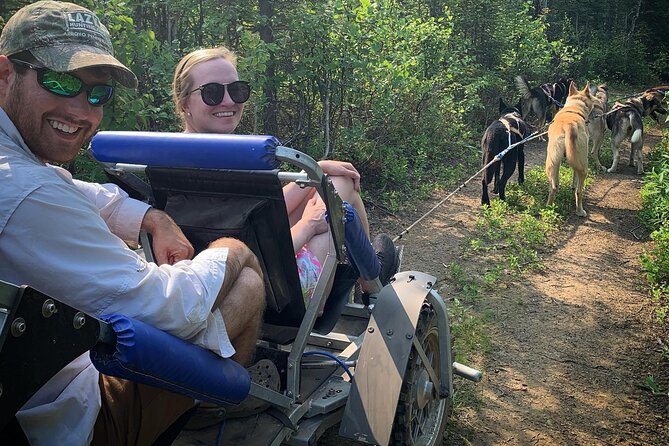 Summer Dog Sledding Adventure in Willow, Alaska - Meeting and Departure Details