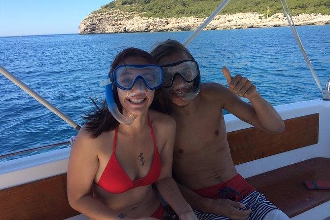 Summer Tour: Dolphin Watching and Guided Snorkeling - Additional Information