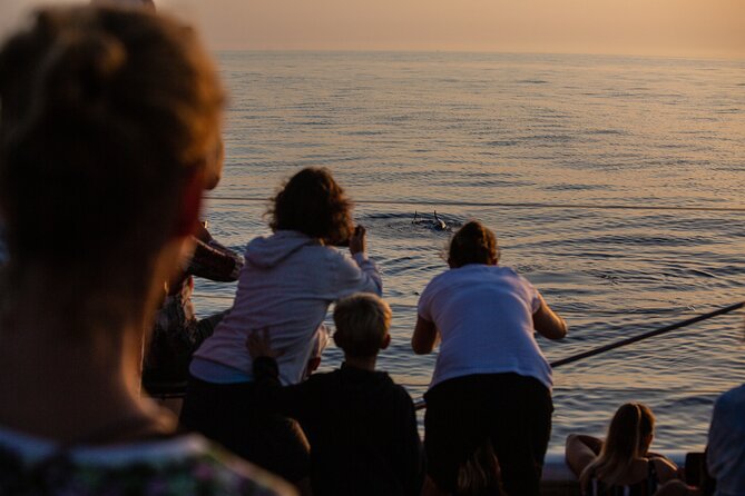 Sunrise Boat Trip in Mallorca With Dolphin-Watching - Policies and Guarantees