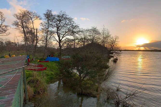 Sunrise Sea Kayaking Tour in Auckland - What to Expect