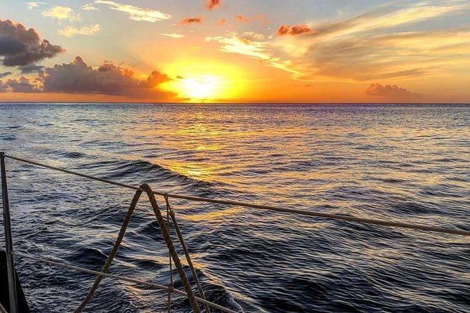 Sunset & Champagne Cruise on a Classic Schooner With Boat Dogs - Customer Reviews