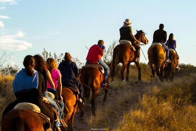 Sunset Horseback Riding - Traveler Reviews and Experiences