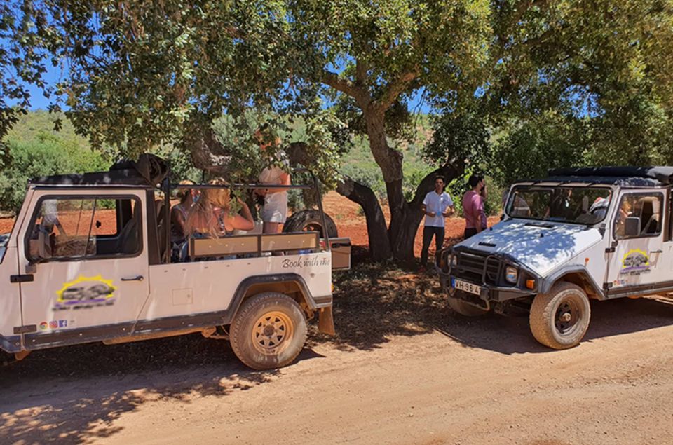 Sunset Safari in the Algarve Mountains - Visit Orange Plantations