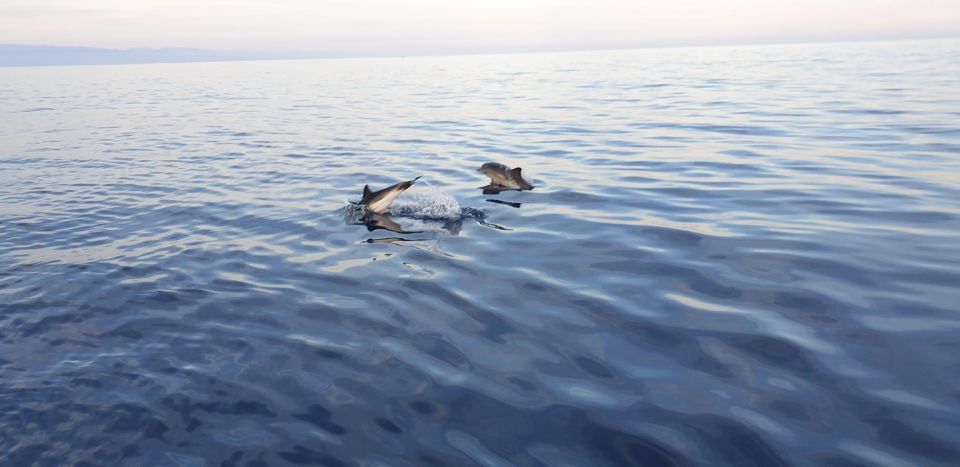 Sunset Tour in Search of Dolphins With Aperitif - Meeting Point Details