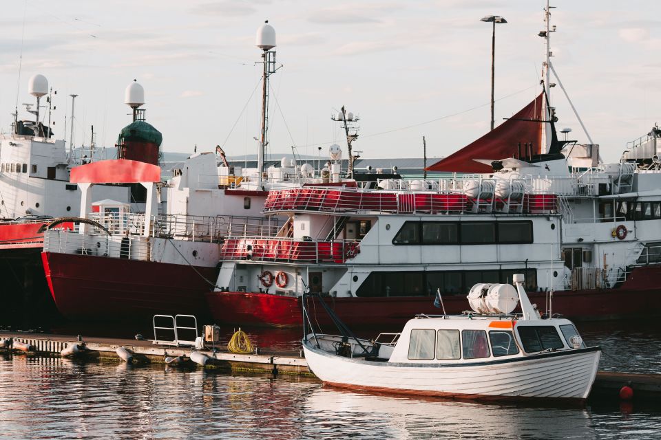 Surprise Tour of Reykjavik Guided by a Local - Meet Your Local Guide