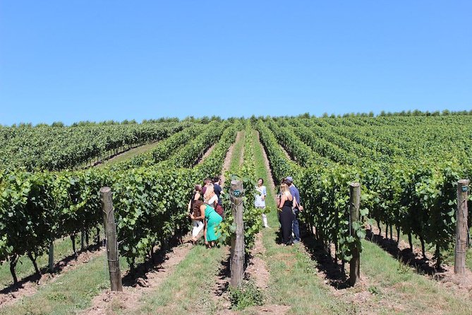 Sussex Vineyard & Winery Bus Tour on Iconic Vintage London Bus - Tour Inclusions and Exclusions