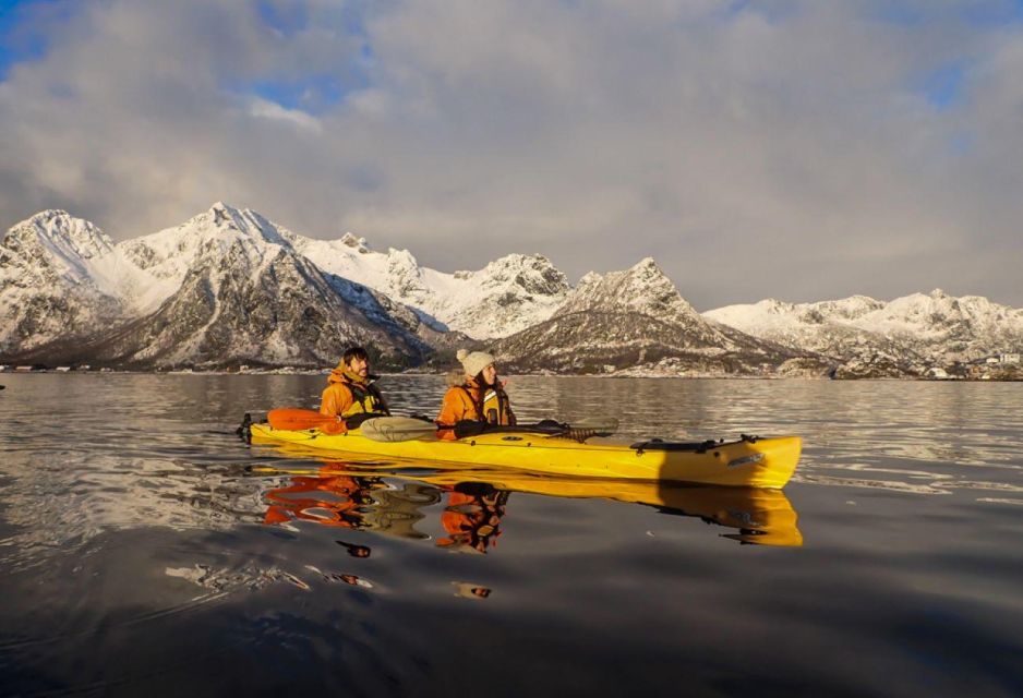Svolvaer: Sea Kayaking Experience - Experience Highlights