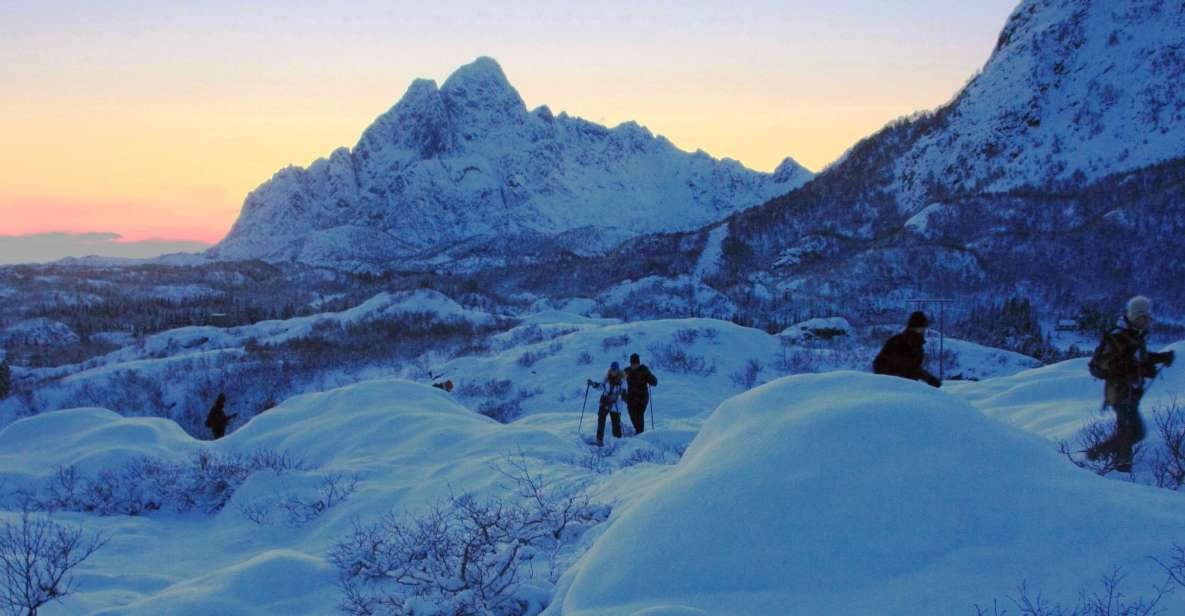 Svolvaer: Snowshoeing Half Day - Best Time to Go