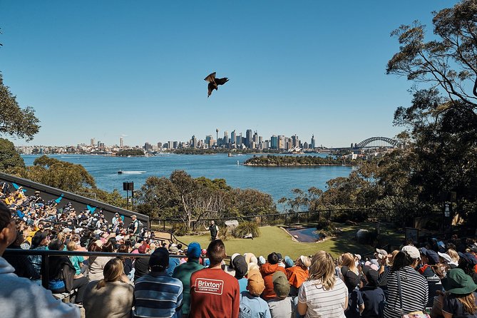 Sydney Taronga Zoos Aussie Backyard Adventure Tour - Transportation Options