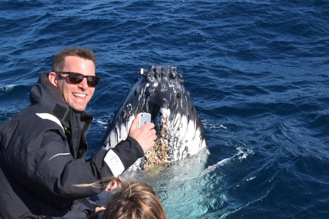Sydney Whale-Watching by Speed Boat - Wildlife Encounters