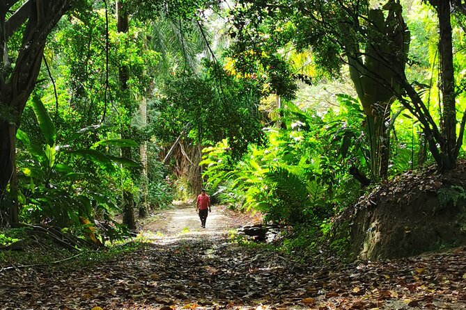 Taino Valley Tropical Park Puerto Plata Tubagua - Visitor Requirements and Recommendations