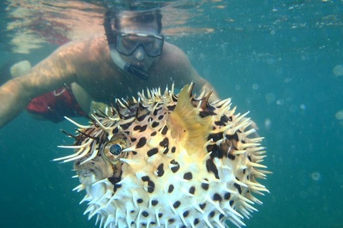 Tamarindo Kayaking Tour With Snorkeling at Captain Island - Booking Process