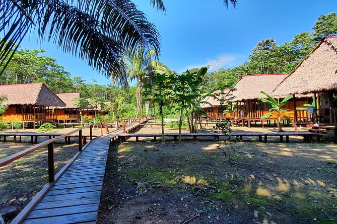 Tambopata 3 Days 2 Nights With Chuncho Macaws Clay Lick by Junglepro - Pricing and Cancellation Policy