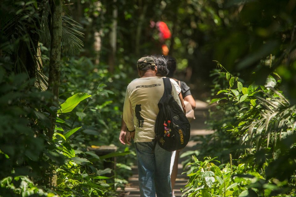 Tambopata Macaw Clay Lick 5 Days/4 Nights - Day 3: Transfer and Diverse Encounters