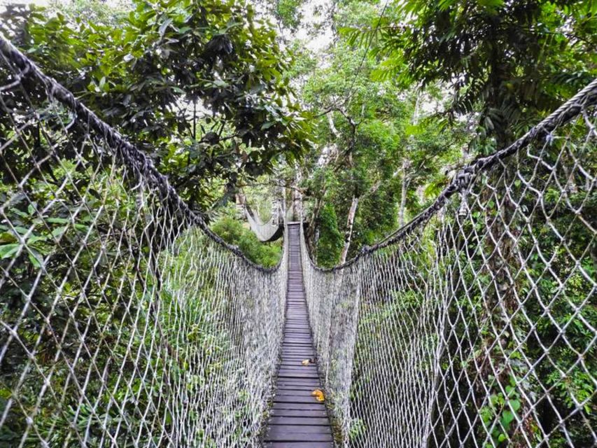 Tambopata: Multi-Day Amazon Rainforest Tour With Local Guide - Cultural Immersion