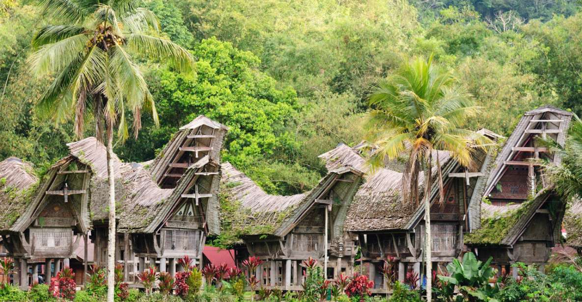 Tana Toraja: Private 3D2N Tour in South Sulawesi - Itinerary Day 3