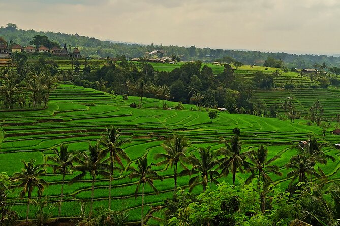 Tanah Lot Private Tour - Batu Bolong Temple