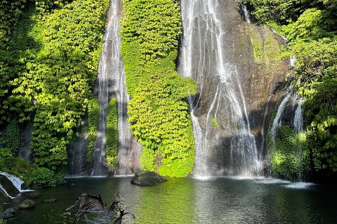 Tanah Lot - Ulun Danu Beratan Temple - Scenic Countryside Tour - Accessibility Information