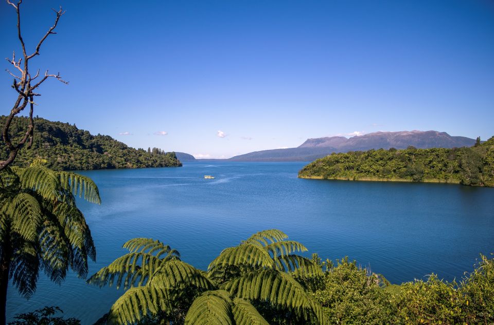 Tarawera and Lakes 2-Hour Duck Eco Tour - Experience Description