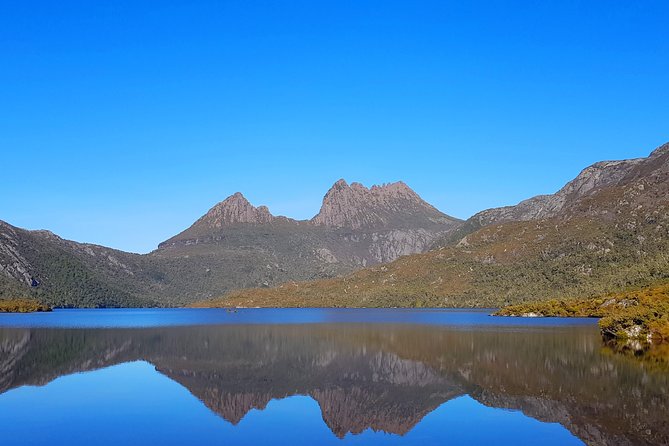 Tasmania 8 Day - Tour in Circle - Destinations Explored