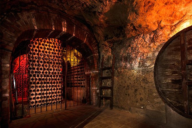 TASTE the TREASURES From RIBERA DEL DUERO in a SUBTERRANEAN Wine Cellar - Guided Tour Experience