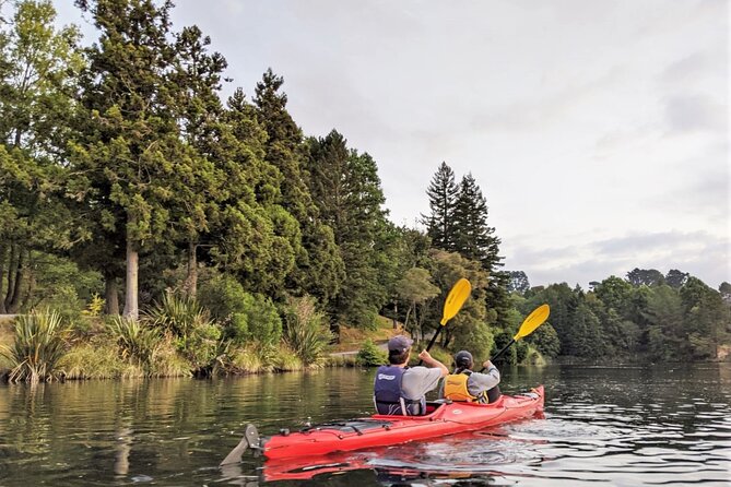 Tauranga: Daytime Scenic Lake McLaren Tour - Reviews and Ratings